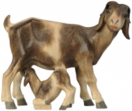 Burrenziege mit Zicklein