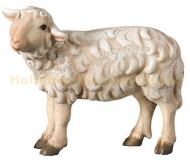 Schaf stehend linksschauend