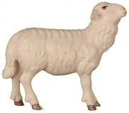 Schaf zu Ftterer rechts