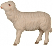 Schaf zu Ftterer links